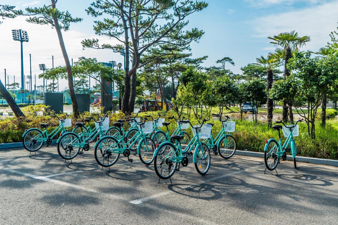 Namhae Sports Park Hotel المظهر الخارجي الصورة